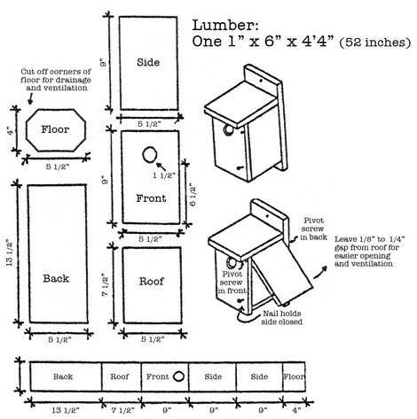 Nest Box Design for Songbirds